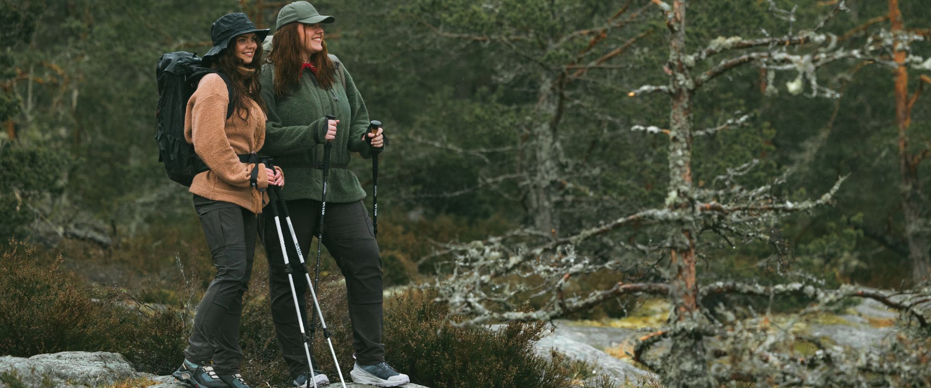 Nocne niebo z Wielką Niedźwiedzicą i linią wskazującą na Gwiazdę Polarną