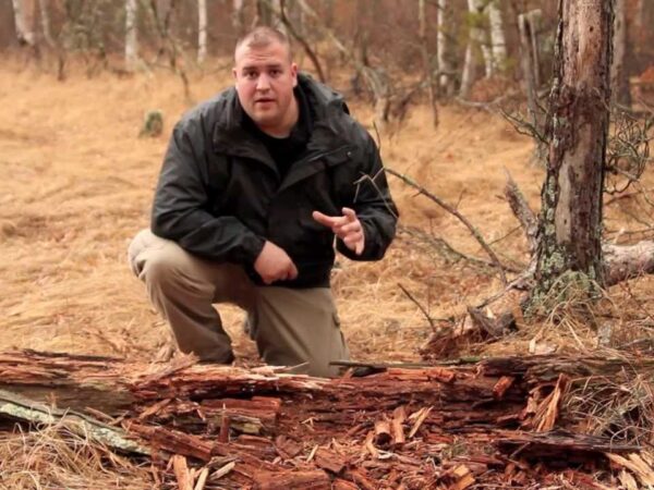 iskry z krzesiwa na wilgotnej trawce