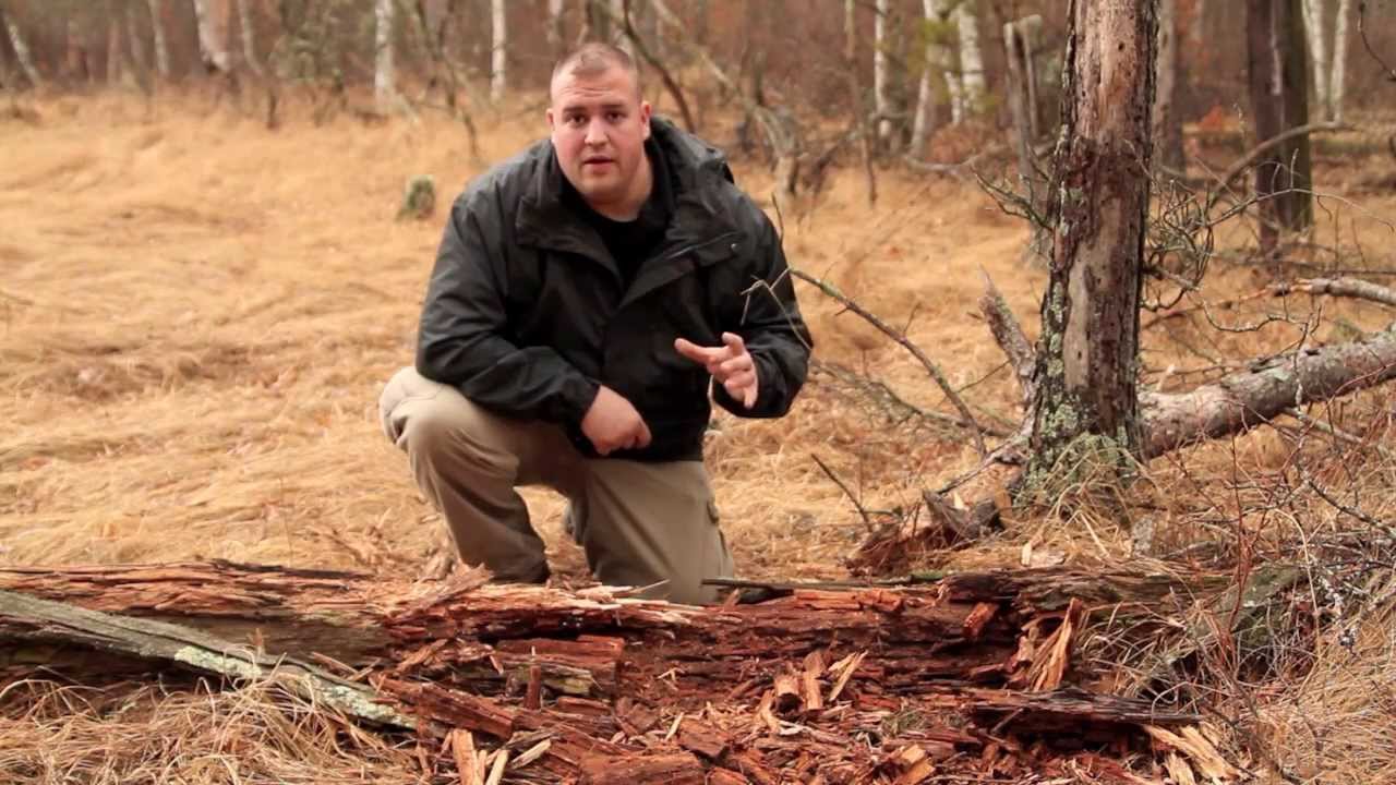 iskry z krzesiwa na wilgotnej trawce